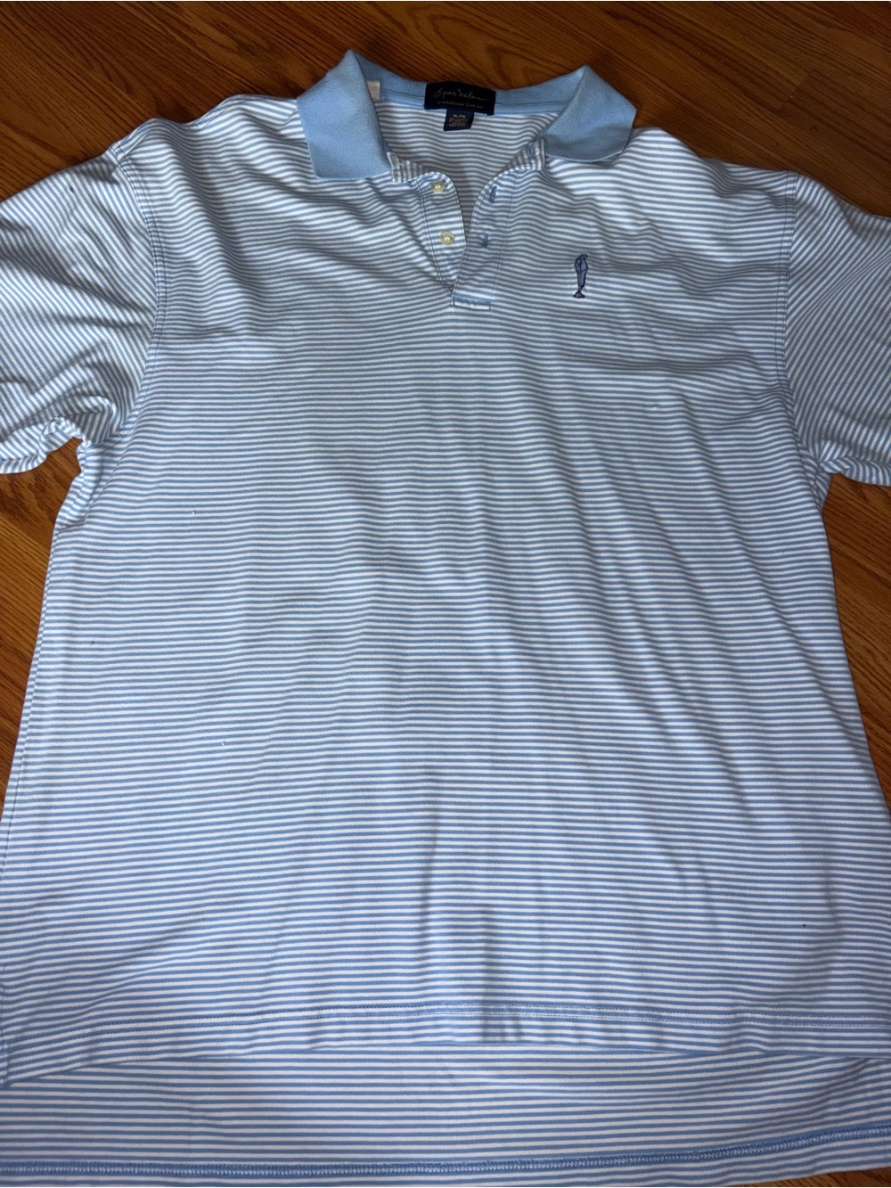 Striped Light Blue Polo Shirt with Contrast Collar